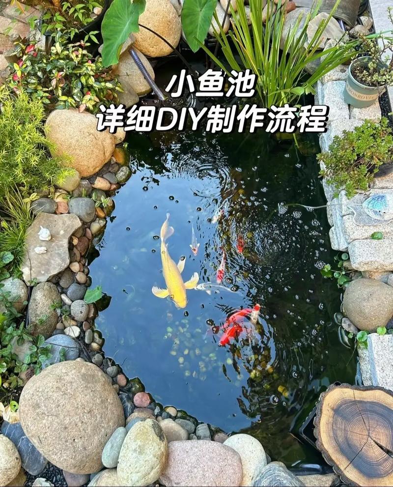 三面混凝土一面玻璃怎么做鱼池（三面混凝土一面玻璃鱼池结构与防水要点）