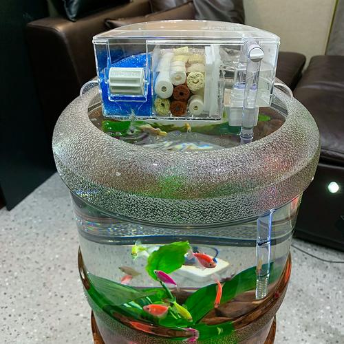 圆形鱼缸养鱼的危害（圆缸养鱼隐患多换成大方形鱼缸更稳妥）