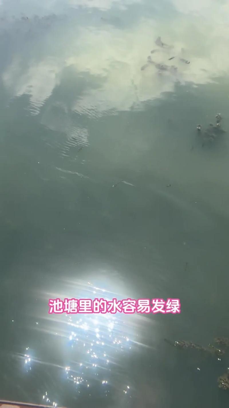 喝了鱼塘的水（症状判断与就医要点）