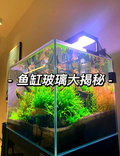 有机玻璃鱼缸缺点（材质透光承重与维护）