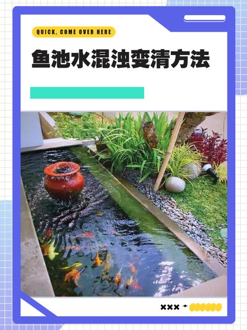 无水源的鱼塘怎么养鱼（无水源塘口水质维护与循环增氧要点）