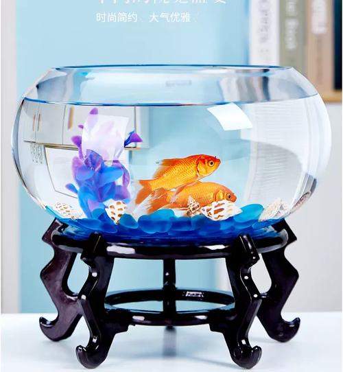 圆形鱼缸好还是方缸好（长方缸更友好，圆缸美观但维护成本较高）