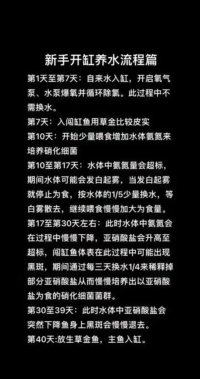 养鱼空气缸怎么养成(空气缸核心在于激活菌群稳定水质3到7天见效) 养鱼空气缸怎么养成(空气缸核心在于激活菌群稳定水质3到7天见效)