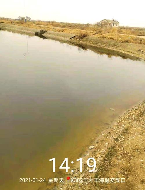 鱼塘冬天几月停止喂料（冬季越冬按水温调喂量与停喂时机）