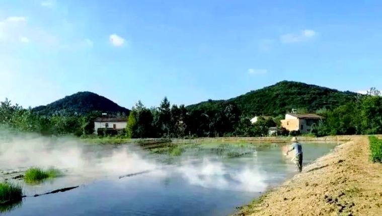 鱼塘里有鱼能泼洒石灰水吗(小试验用量与综合治理) 鱼塘里有鱼能泼洒石灰水吗(小试验用量与综合治理)