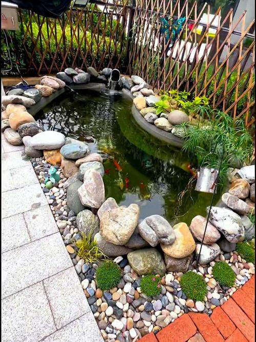 农村小院自建鱼池图片(乡间庭院原生态鱼池自建指南预算一万分层深度过滤) 农村小院自建鱼池图片(乡间庭院原生态鱼池自建指南预算一万分层深度过滤)