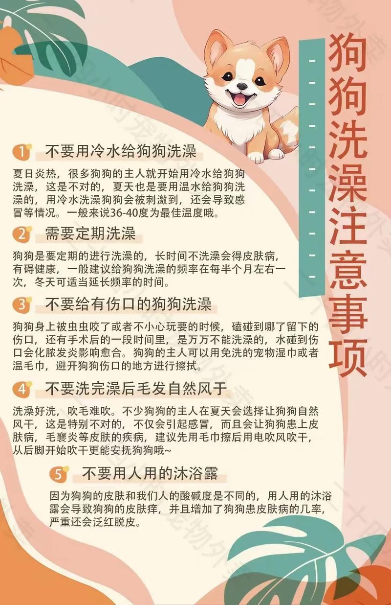 小狗洗完澡发抖的原因（洗完澡后狗狗发抖的原因与护理要点）