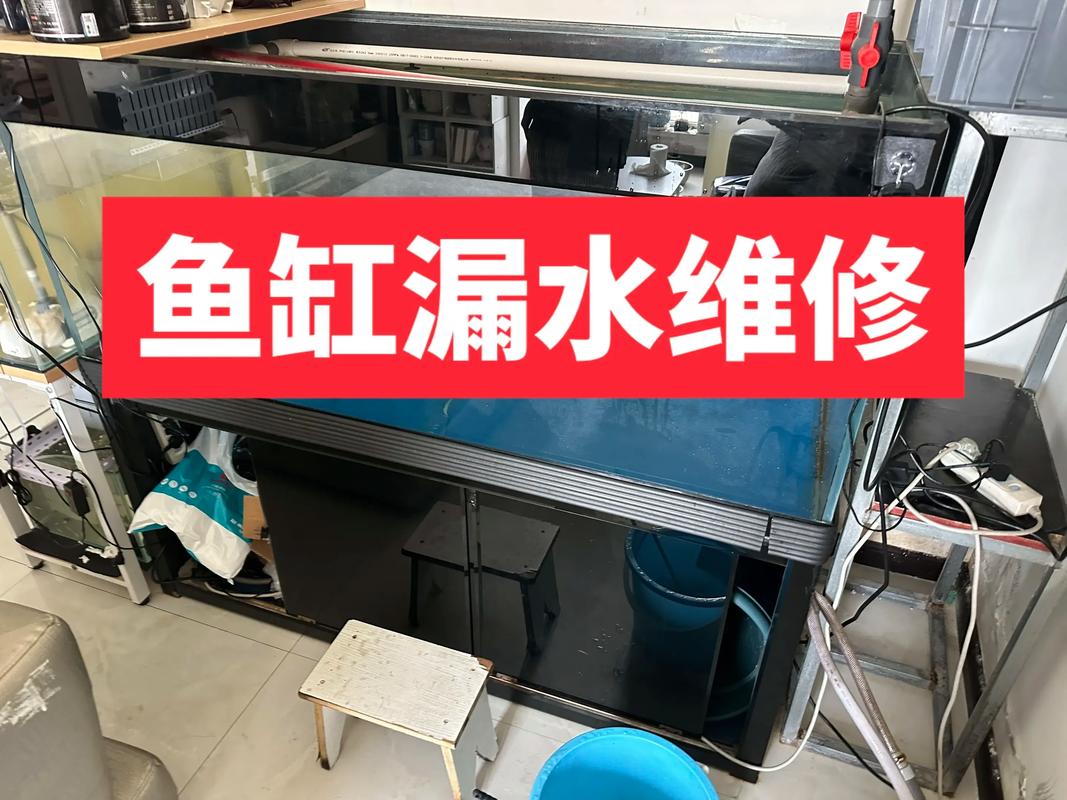 上门维修鱼缸(沈阳家用鱼缸维修与水路设计,口碑透明保修到位) 上门维修鱼缸(沈阳家用鱼缸维修与水路设计,口碑透明保修到位)