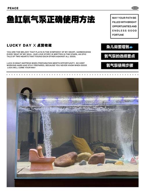 鱼池增氧机该怎么选择（按水深面积与养殖密度搭配）