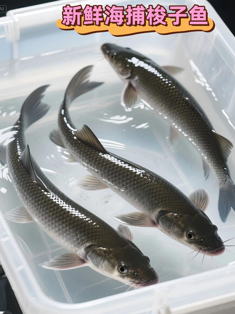 40米水深底层有什么鱼（水温深度配饵与浮漂技巧）