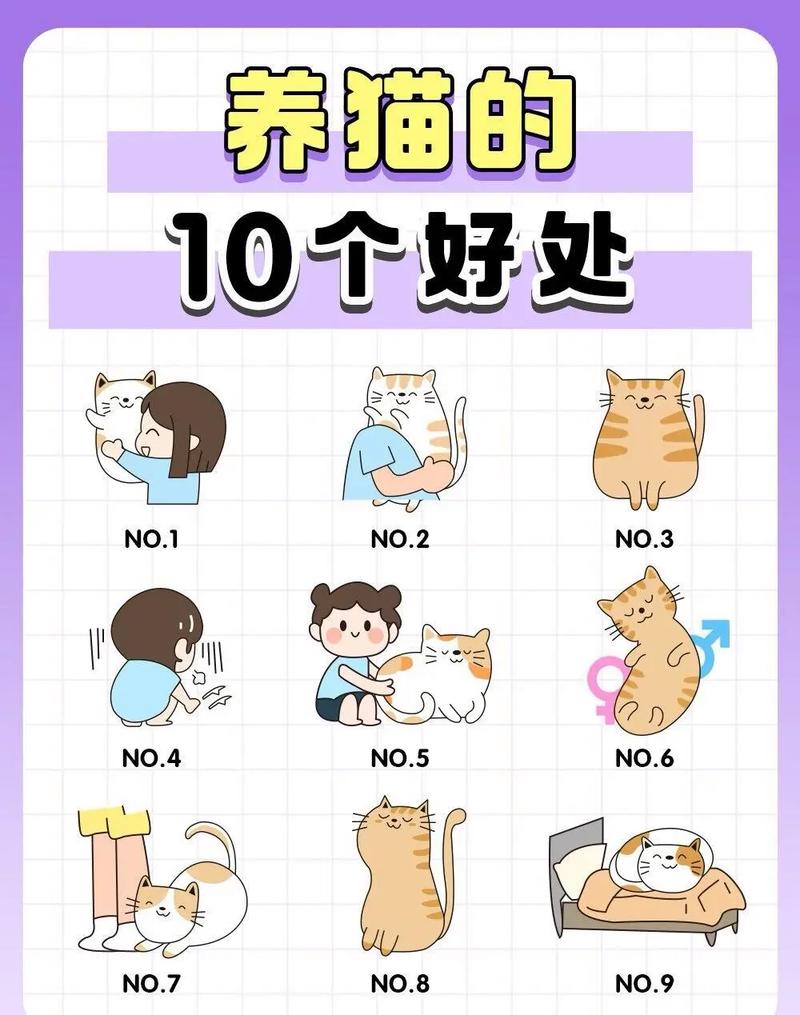 猫知道主人把它养大吗(成年猫认知相当人2–4岁,如何建立信任与互动)