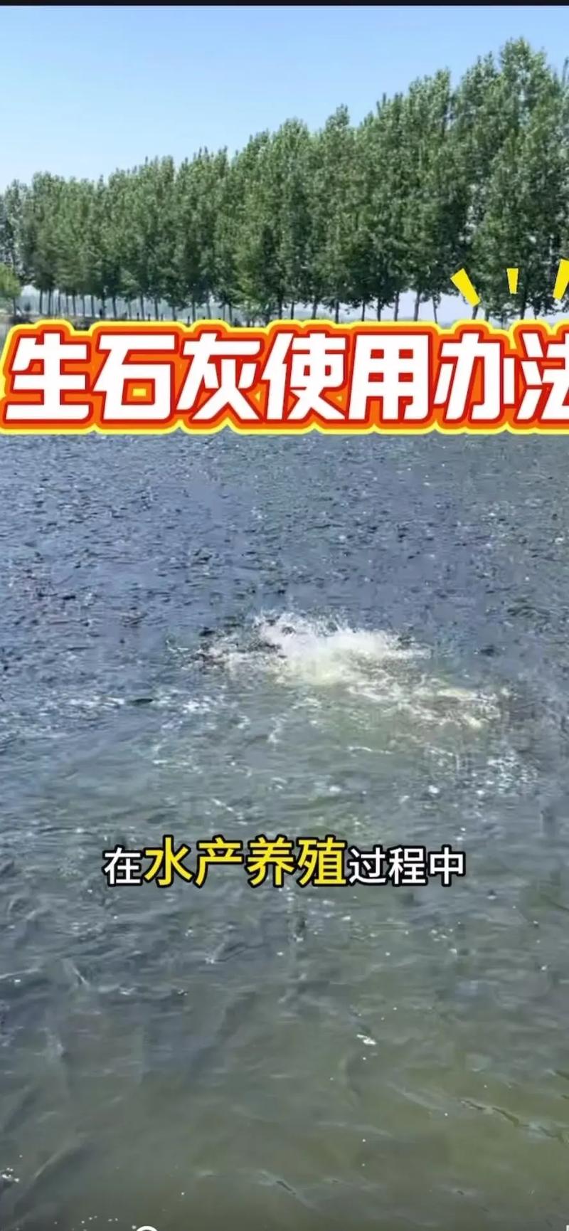 鱼塘撒碘后可以撒石灰吗(水质治理要点分阶段监测与投药禁忌)