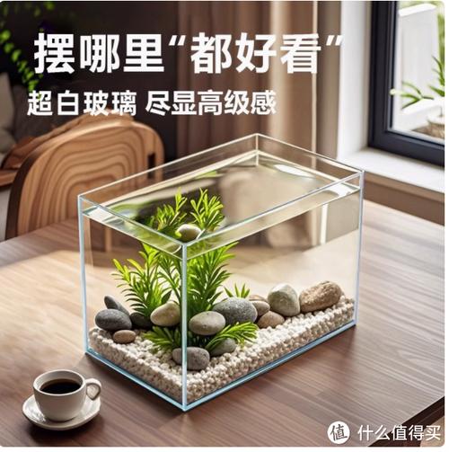 鱼缸在客厅的最佳位置示意图（位置角度禁忌与维护）