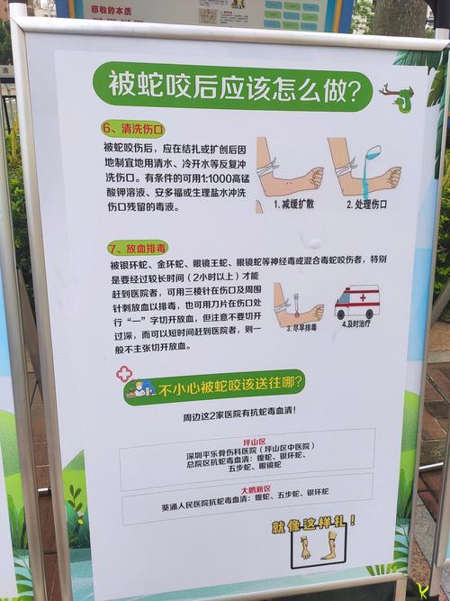 猪鼻蛇拒食怎么办（如何应对蛇拒食稳定喂养诱食就医要点）