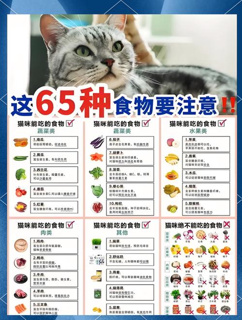 猫爱吃的食物排名（主食以肉类为主，分餐喂养蔬果少量）