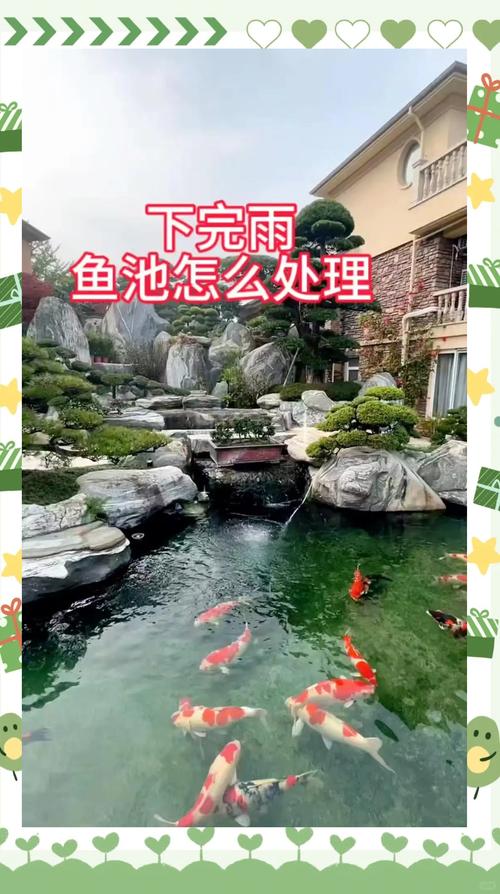 雨水养鱼为什么容易死(雨季养鱼防污染控氧换水要点)