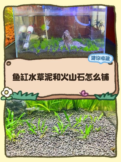 鱼缸火山石入缸前要洗吗(新买火山石入缸前彻底处理与三路摆放要点及水质维护)