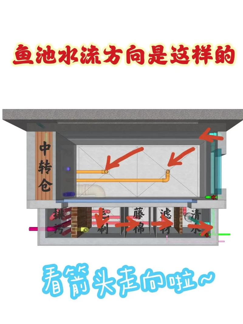鱼池水循环系统图解(沉淀竖管物理生化过滤与清水回流) 鱼池水循环系统图解(沉淀竖管物理生化过滤与清水回流)