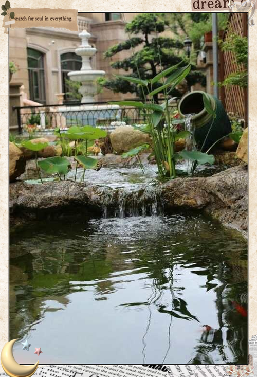 水泥养鱼池养鱼经验（新砌水泥池养鱼全流程脱碱养水试水放鱼要点）