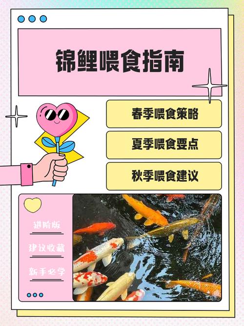 养鱼投食多少合适（养鱼投喂量和频率指南按体型水温和品种调整）