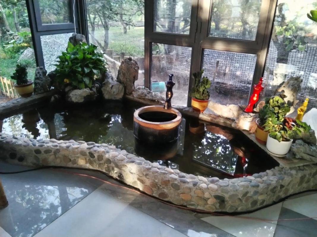 农村小院自建鱼池图片（乡间庭院原生态鱼池自建指南预算一万分层深度过滤）