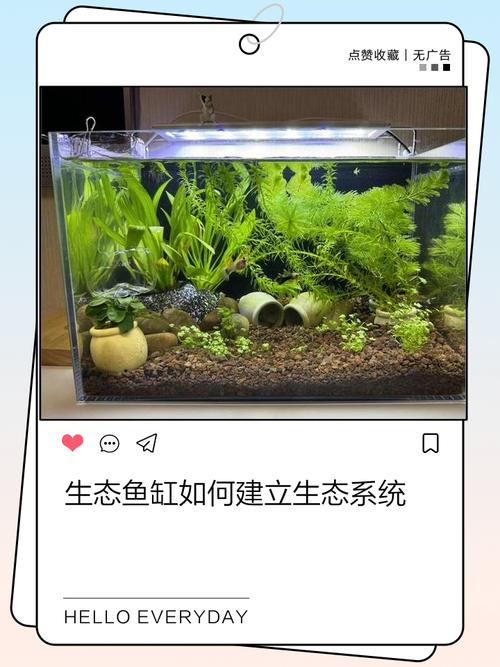 鱼缸如何增加orp(稳定400mV,如何调控与维护)