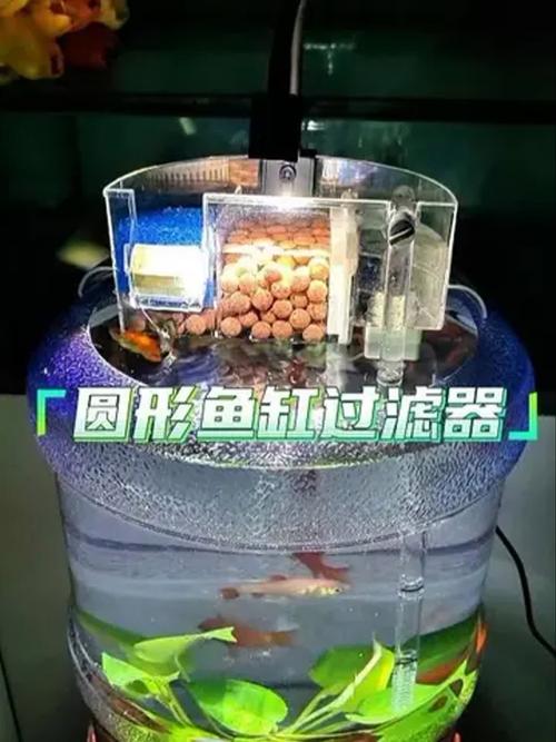 鱼缸过滤器十大排名（看滤材静音稳流2026十大品牌）
