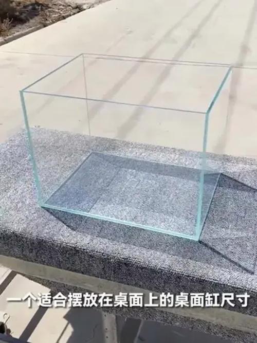 鱼缸热弯玻璃好还是超白玻璃好(尺寸厚度与预算) 鱼缸热弯玻璃好还是超白玻璃好(尺寸厚度与预算)
