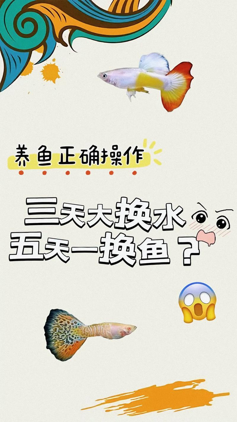 自来水养鱼需要注意什么（自来水养鱼去氯控温稳态微生物换水与水质日记）