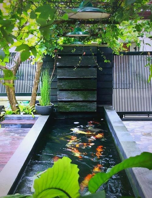 坐北朝南院子鱼池图(朝向流水养水与安全) 坐北朝南院子鱼池图(朝向流水养水与安全)