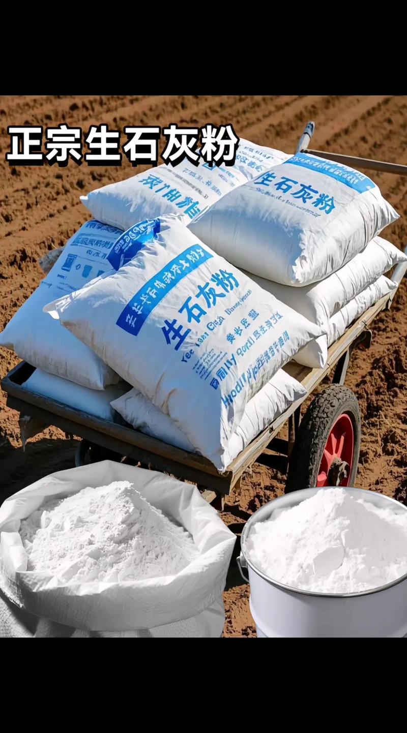 下雨天鱼塘能放生石灰吗（分散缓撒控好鱼塘pH）