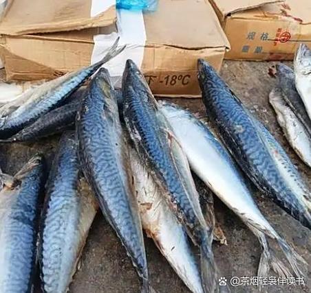 人工无法养殖的七种鱼（不易人工养殖与栖息地保护）