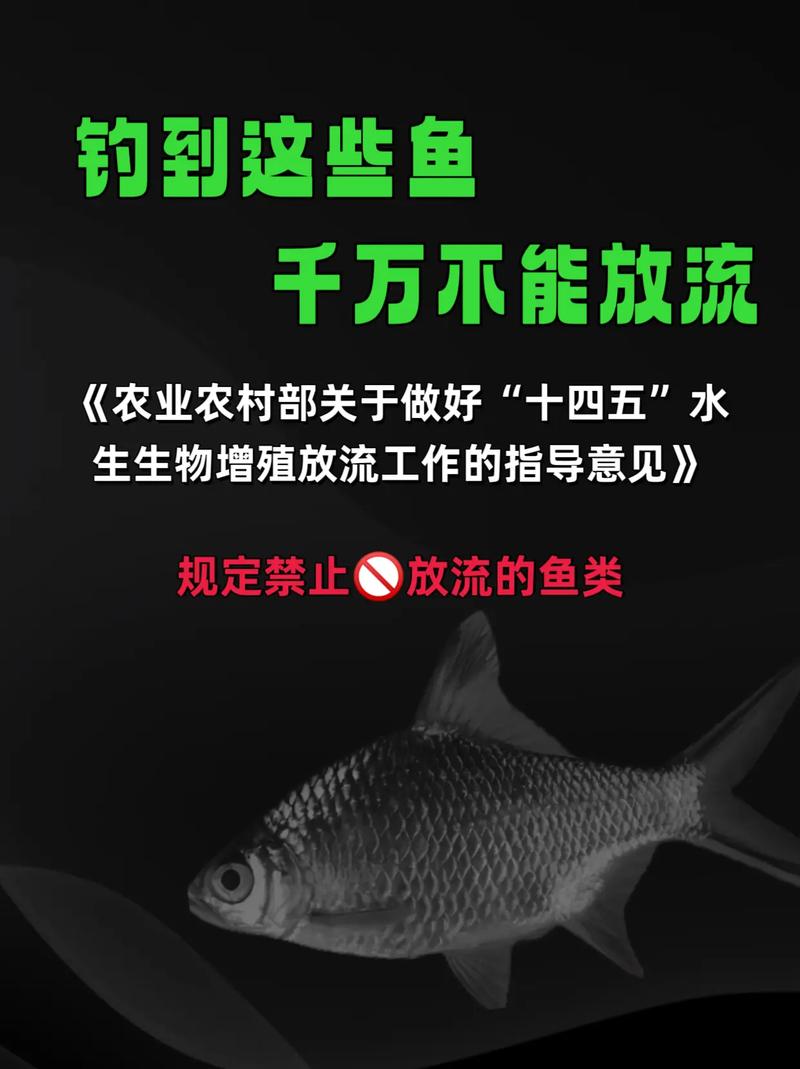这种外来鱼为什么不能随便放生（环境DNA揭示放生风险，推动科学放生与源头监管）