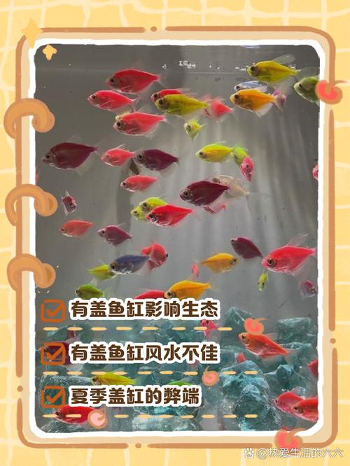 鱼缸养鱼千万不能有盖（养鱼缸盖子要不要盖？看通气水质与维护要点）