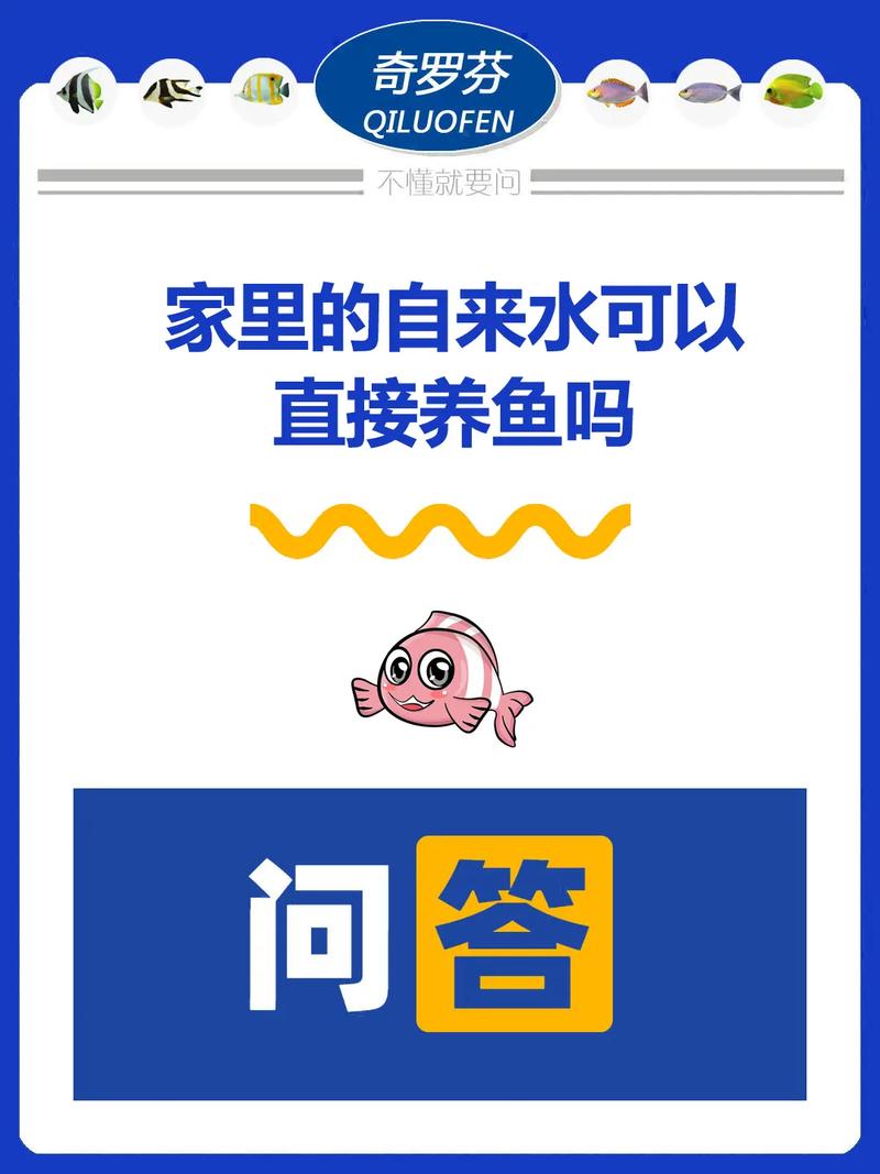 一半纯净水一半自来水养鱼(比例散氯稳定性与水质监测)