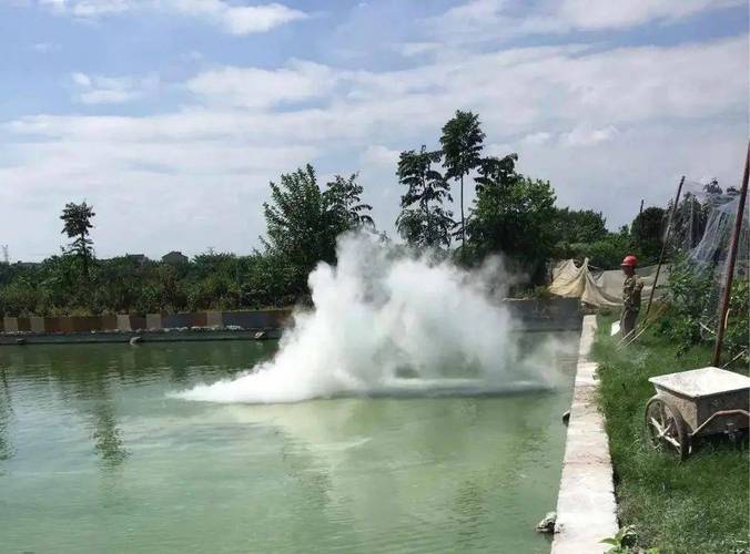 石灰水倒到塘里鱼会死吗（石灰水消毒养塘要点及禁忌）