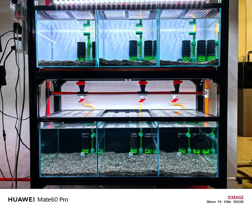 鱼缸能盖盖子吗（鱼缸盖优缺点及透气保温的选材要点）