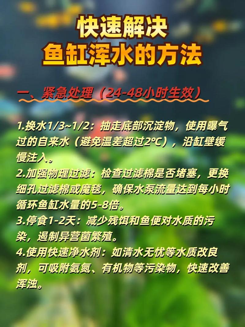 鱼缸水太满的坏处(水位过高对缸底的危害与降水位增氧要点)