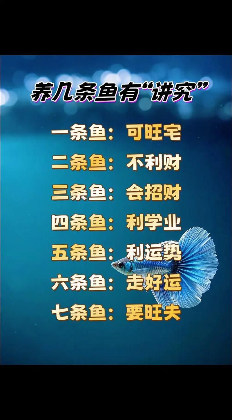 鱼缸养鱼数量的讲究（承载量环境与三三制换水法）