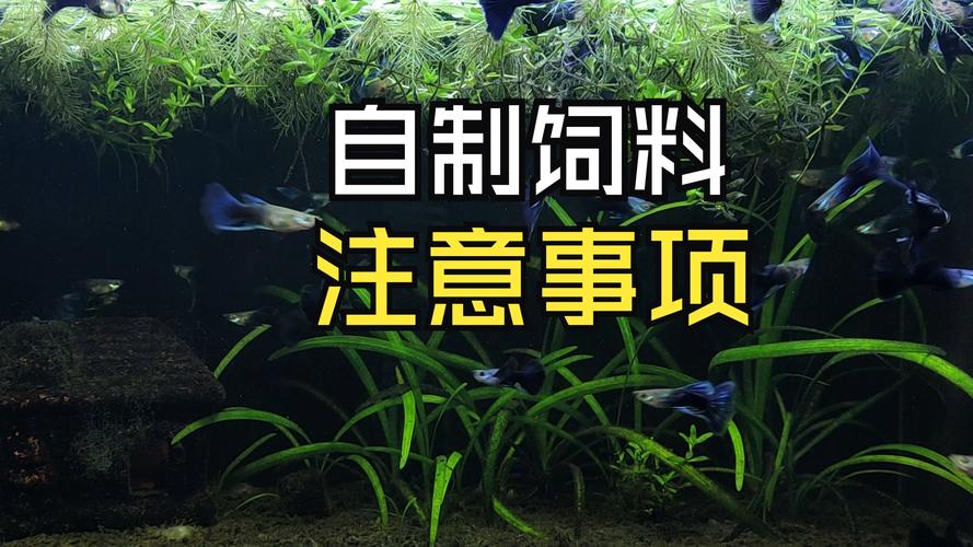 家庭自制鱼饲料方法（控水成团现喂更稳）