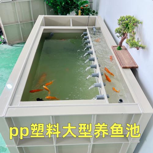 家庭鱼池一般建多深(家庭鱼池深度设计要点深水区浅水区与越冬维护) 家庭鱼池一般建多深(家庭鱼池深度设计要点深水区浅水区与越冬维护)