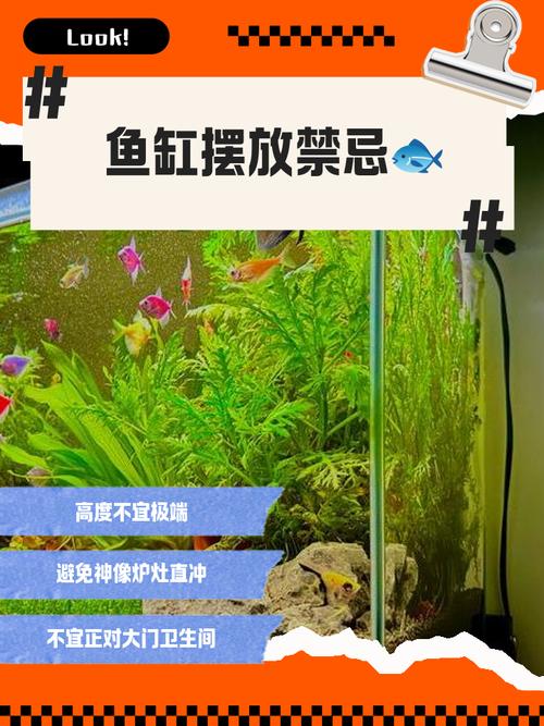 鱼缸盖住好还是不盖好（省水保温增氧与维护取舍）