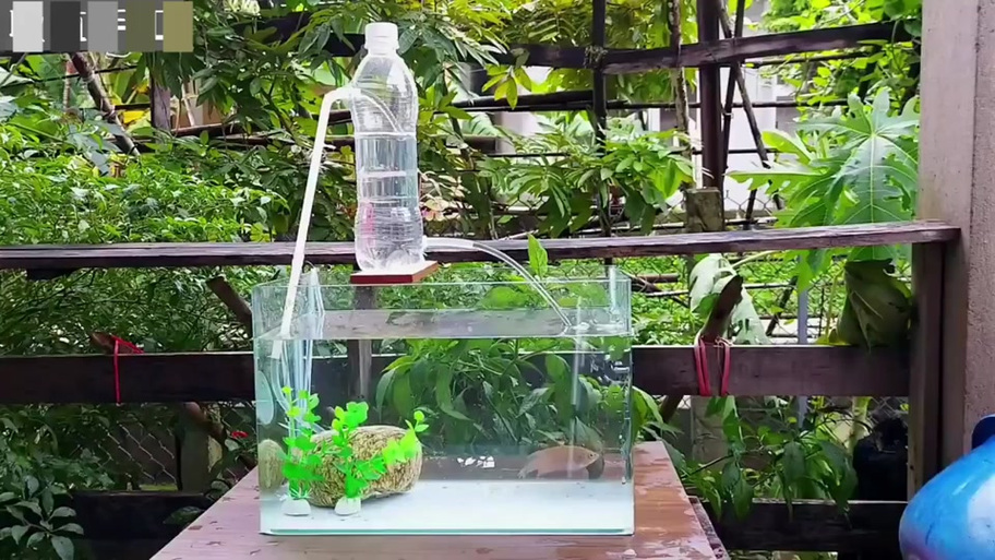 鱼缸自制无电水循环(无电循环虹吸排水原理与维护要点) 鱼缸自制无电水循环(无电循环虹吸排水原理与维护要点)