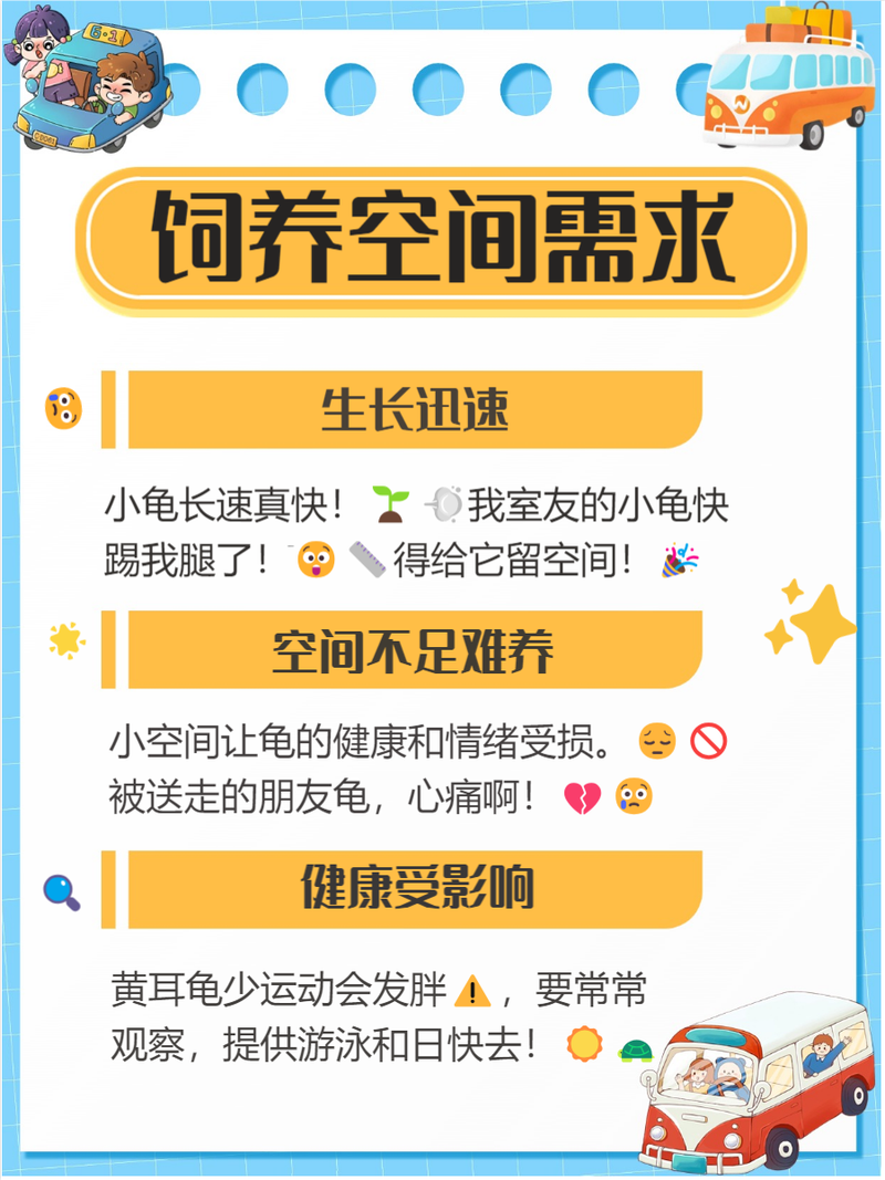 为什么不建议年轻人养乌龟（选好品种制定日程与寄养）