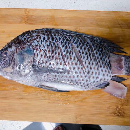 脆鱼跟草鱼一样吗(脆鱼(脆肉鲩)改良养殖,肉质紧实弹脆,蒸煮炒火锅皆宜)