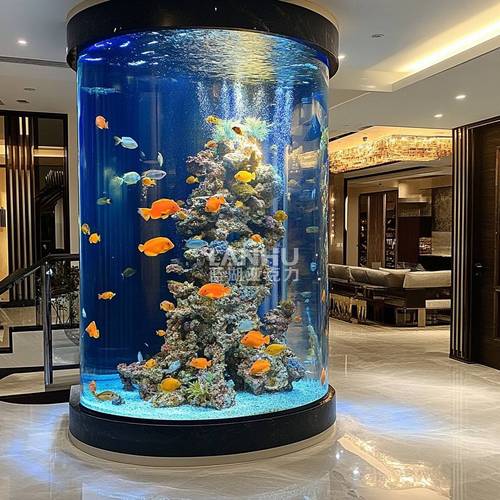 圆形鱼缸和方形鱼缸哪个好（圆缸观感好却难清洁，方缸维护费力，新手选60×30×40养鱼）