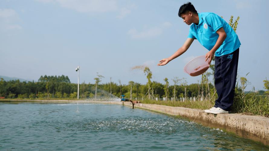 池塘养鱼冬天需要喂食吗（按水温投喂控氧记录与监控）