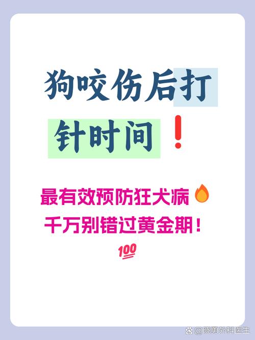 被狗咬了可以做dna吗（狗咬伤基因鉴定要点及证据收集与维权路径）