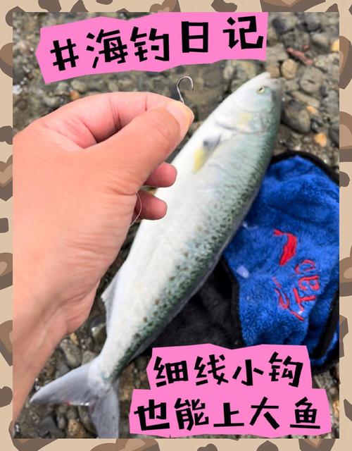 小钩能钓大鱼吗（细线小钩控线遛鱼实战装备搭配方法）