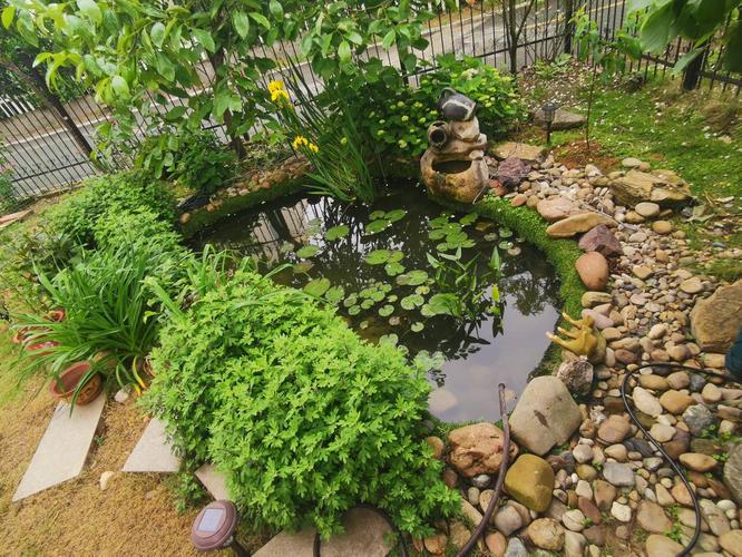 农村小型鱼池（农村自建鱼池成本与难点全解析）